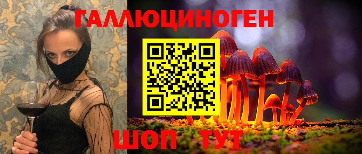 Галлюциногенные грибы Psilocybine cubensis  Галлюциногенные грибы прущие грибы  Новозыбков  Вход с VPN 